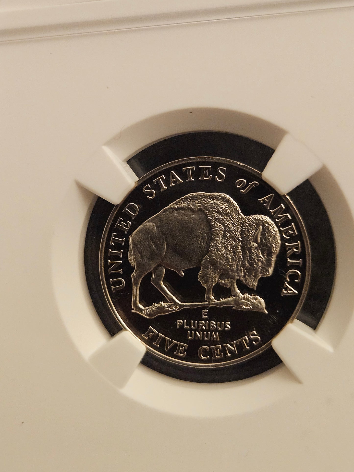 2005 s Bison 5C