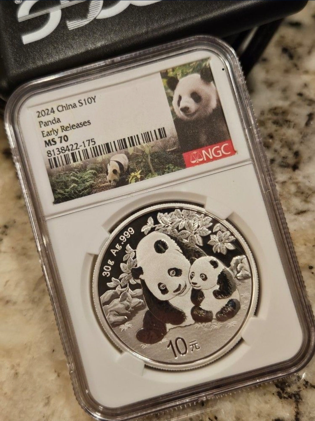 2024 Silver Panda