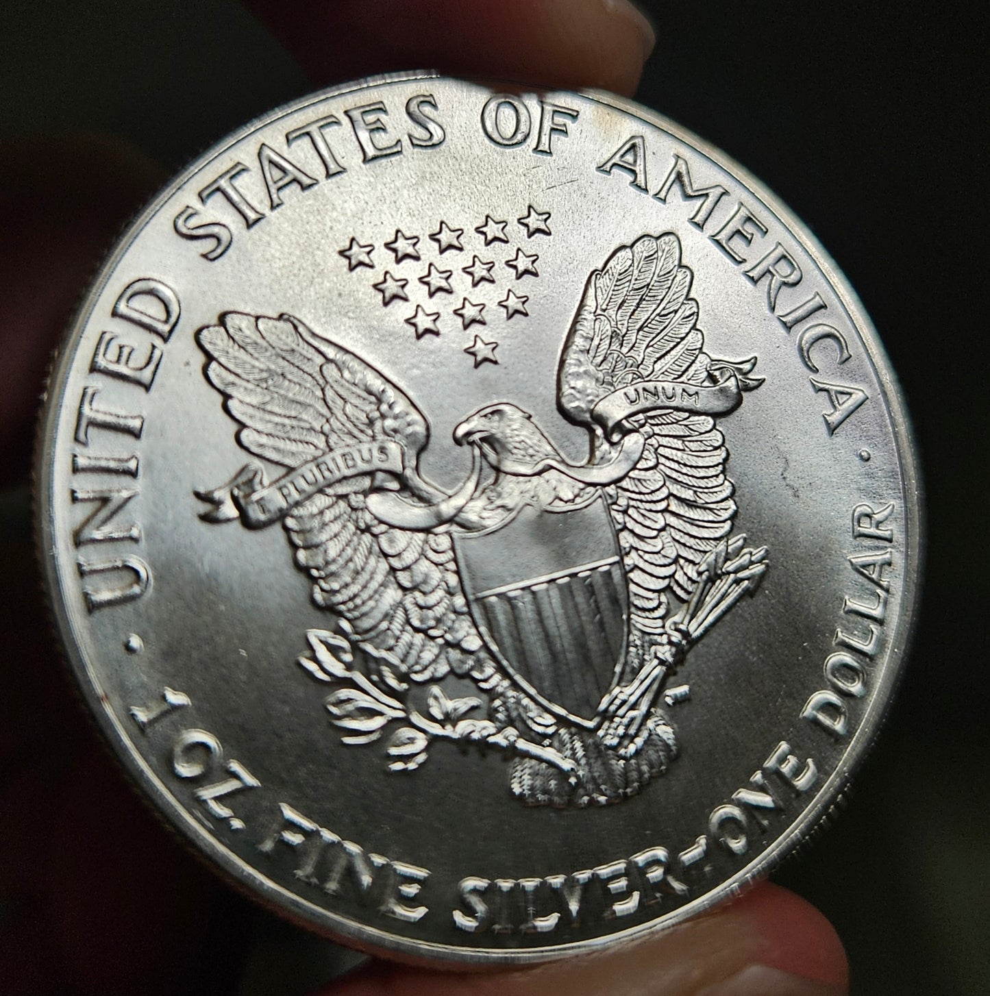 1986 Silver Eagle