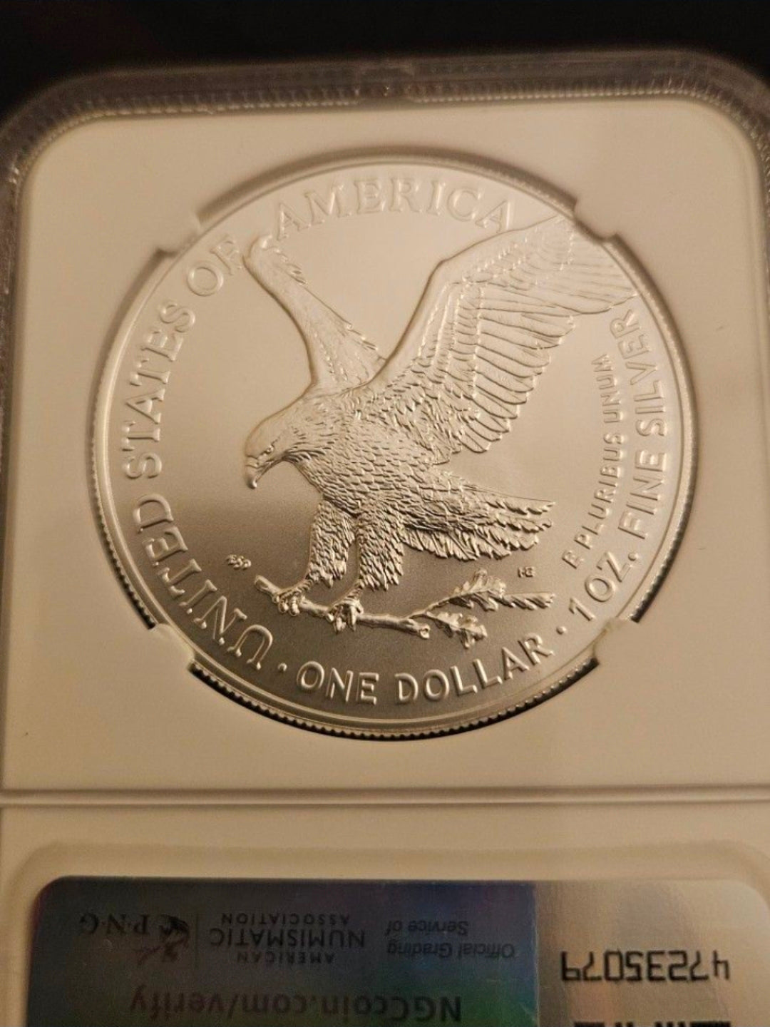 2024 American Silver Eagle